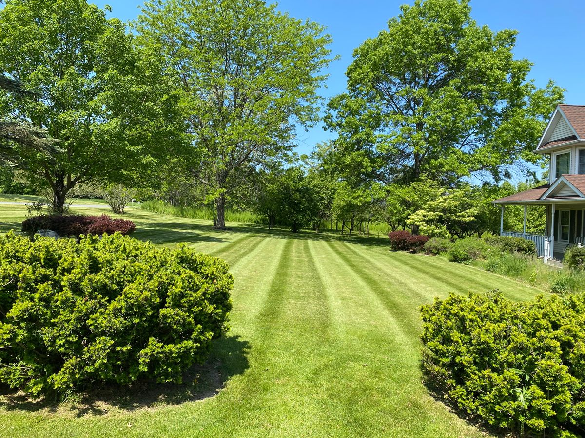 Mowing for Cuellar Lawn Care in Highland , NY 