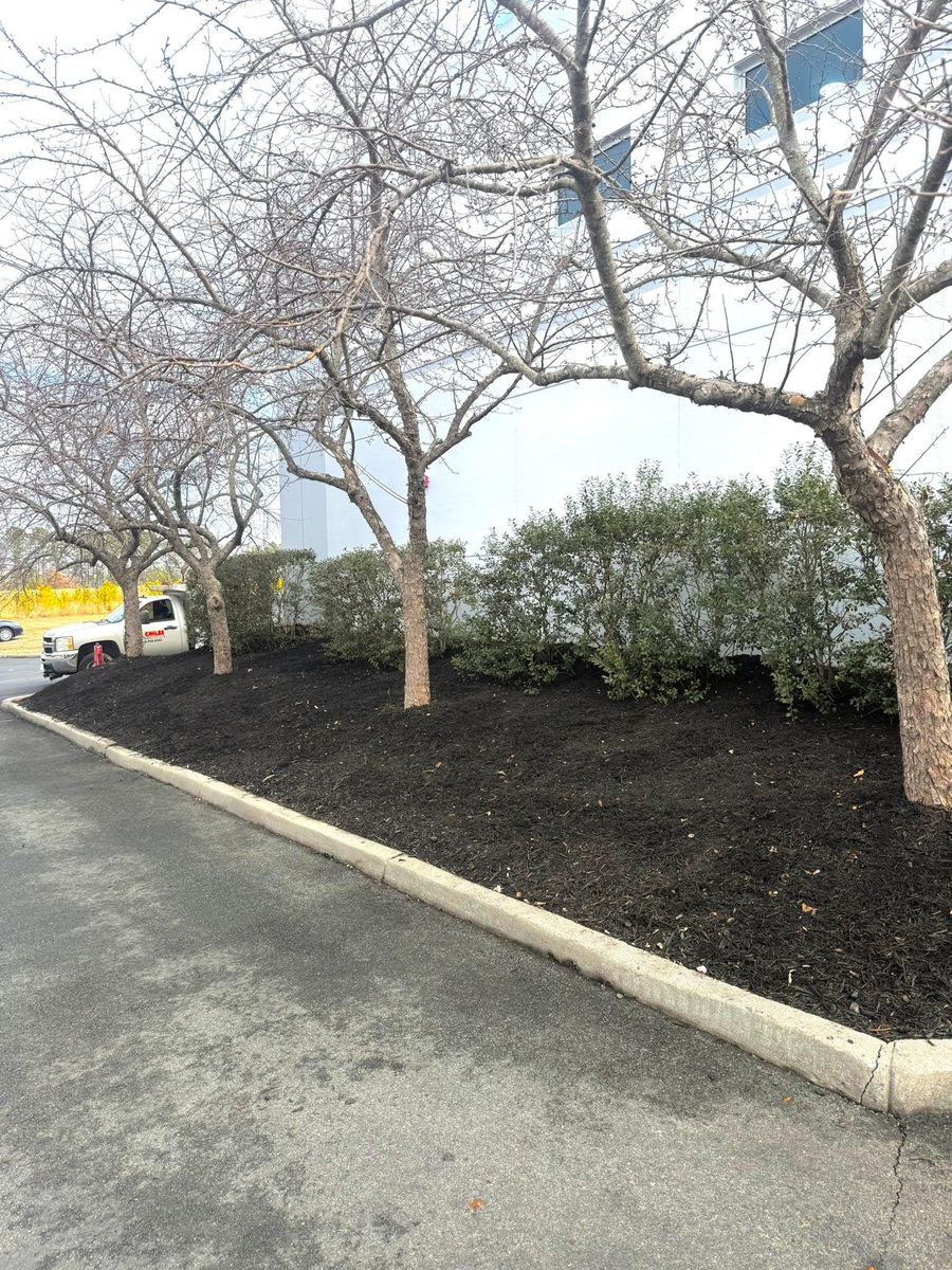 Mulch Installation for Chiles Lawn & Landscaping in Gordonsville, VA