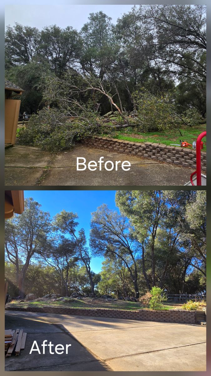 Storm Damage for George Staddan's Professional Tree Care in Placerville, CA