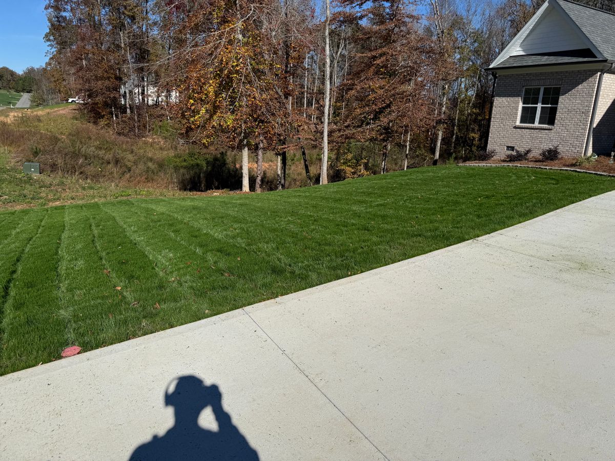 Landscaping & Lawn Renovations for Gallimore’s Lawn Care in Thomasville, NC