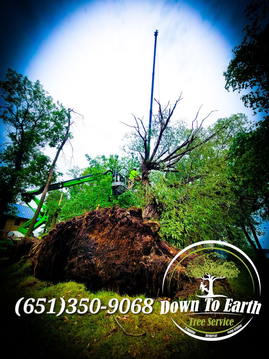 24-7 Emergency Tree Removal for Down To Earth Tree Service in Red Wing,  Minnesota