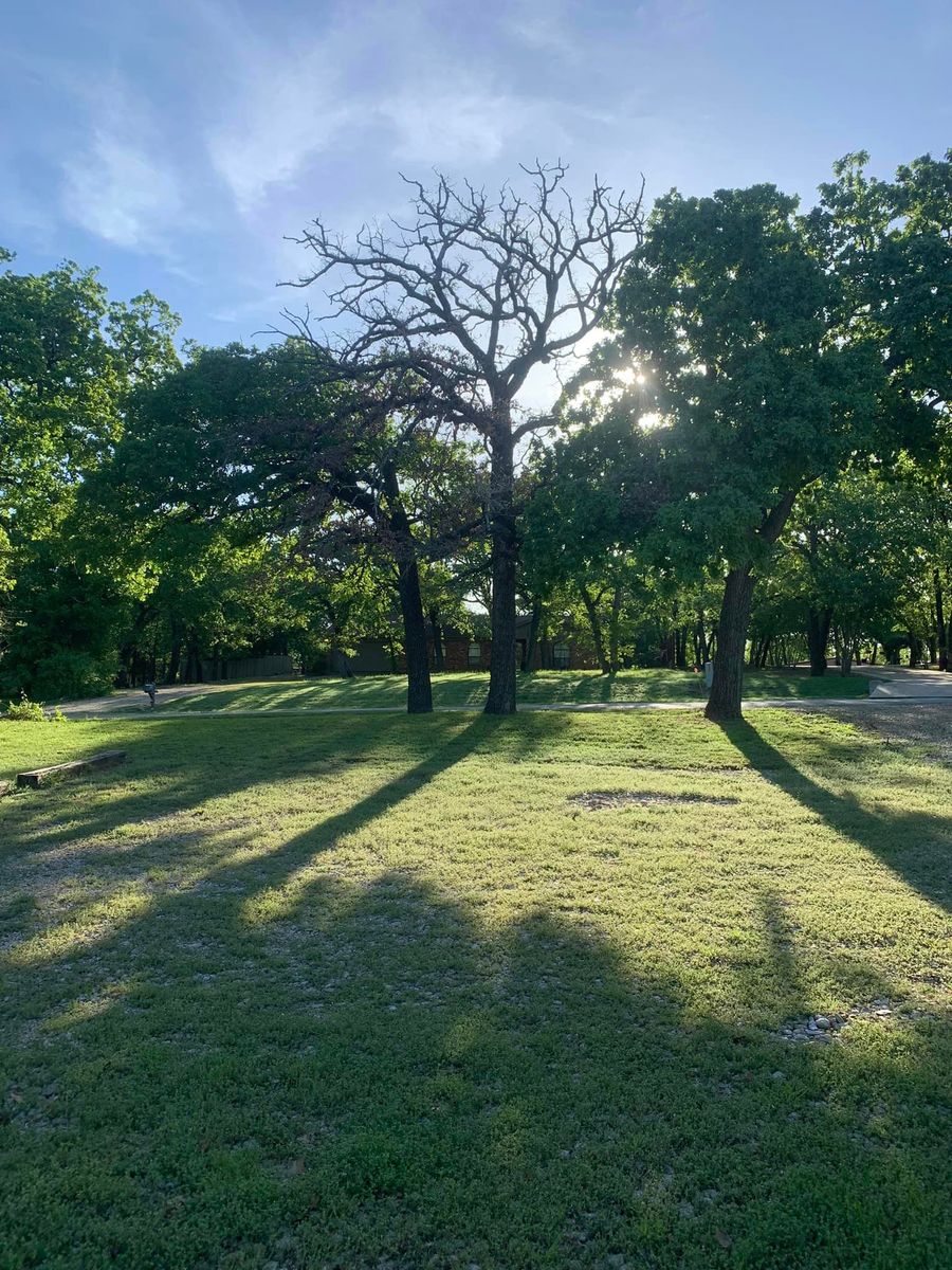 Excavation & Land Clearing for Teague Trees & Landscaping in Rendon, TX