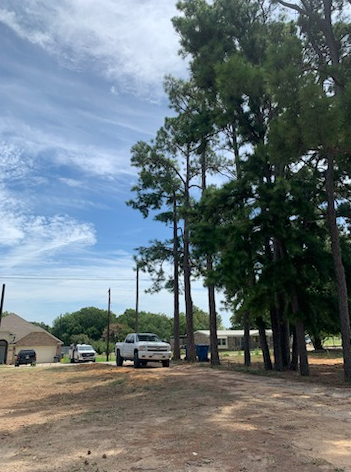 Tree Removal & Trimming for Teague Trees & Landscaping in Rendon, TX