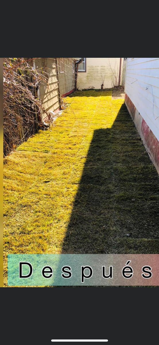 Lawn Aeration for Family Landscaping & Irrigation in Auburn, WA