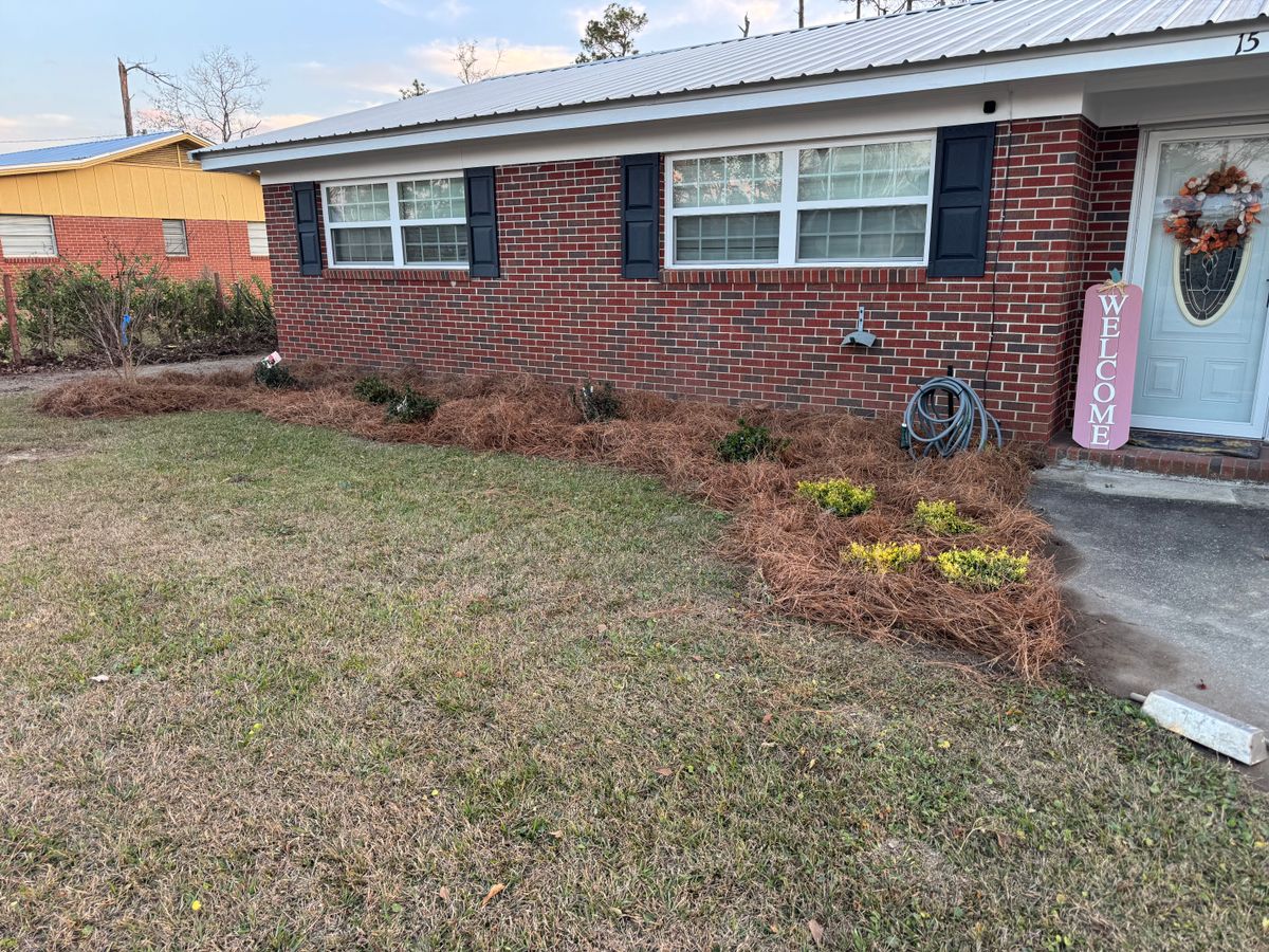 Landscaping Services for South GA Land Development in Hazlehurst, GA