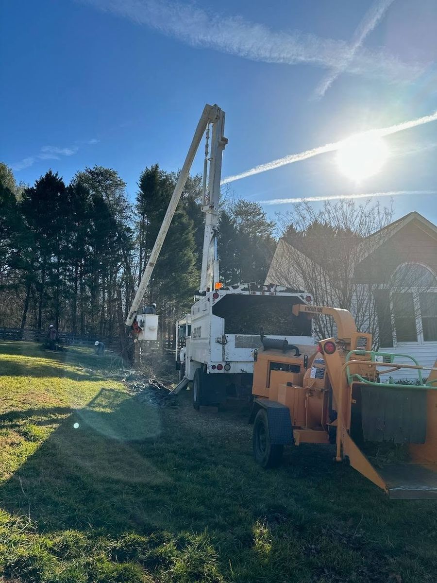 Tree Service for Platinum Outdoor Services LLC in Conover, NC