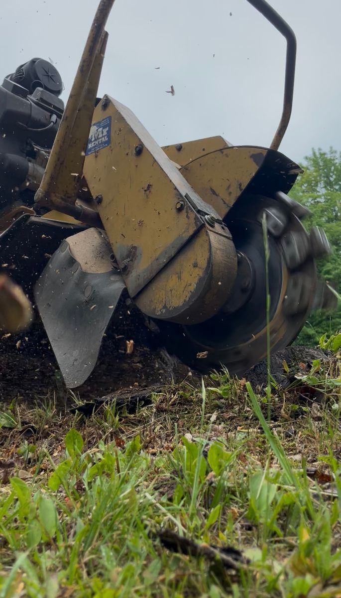 Stump Grinding and Removal for J&Q Tree Service in Paradise, MI
