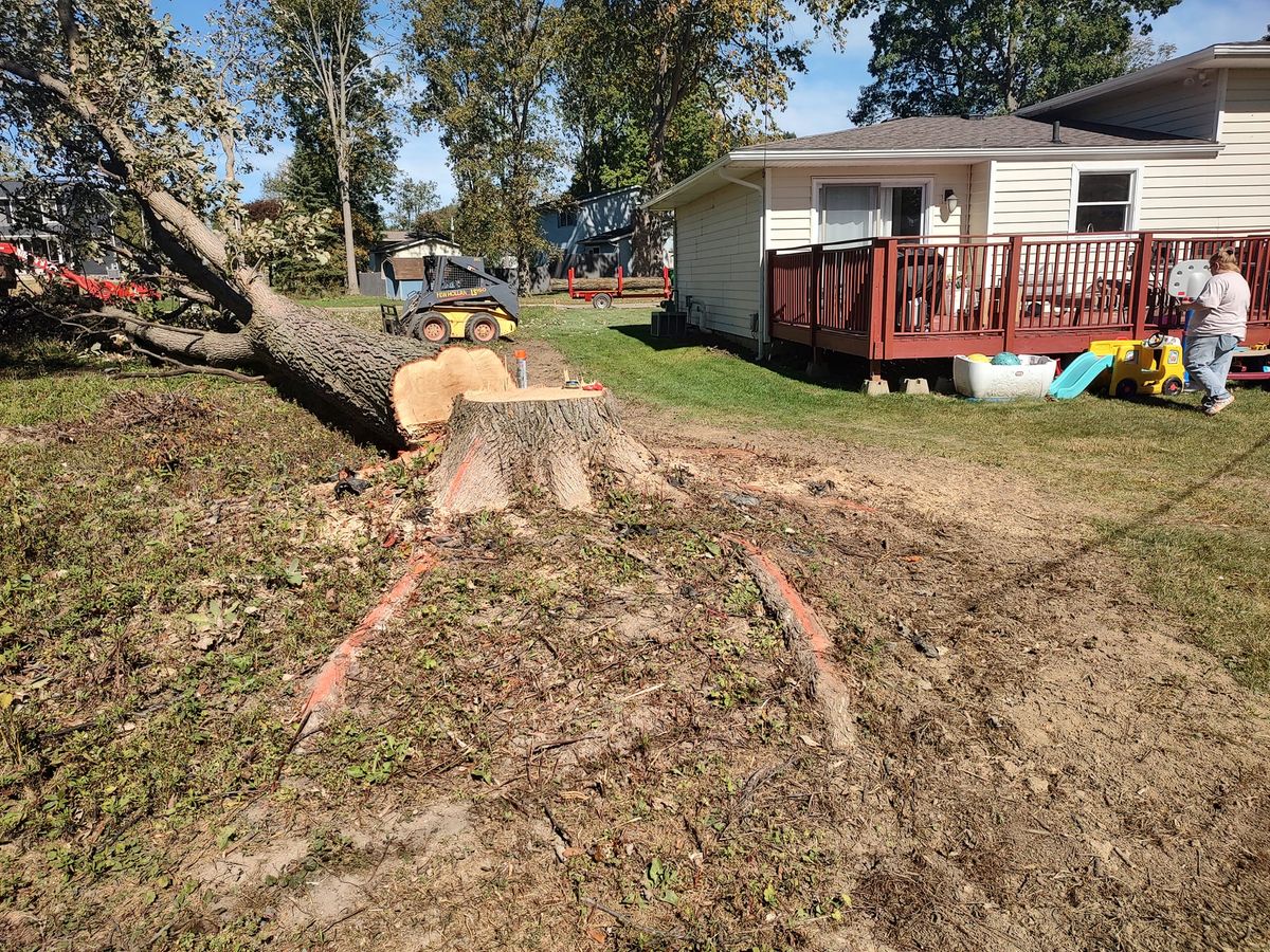 Tree Removal for Billiter's Tree Service, LLC in Rootstown, Ohio