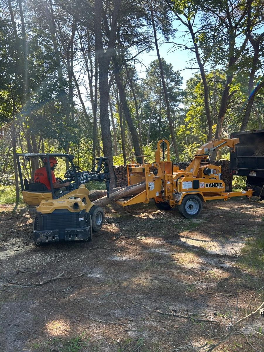 Tree Trimming for Hingewood Tree Service in Salem, NJ