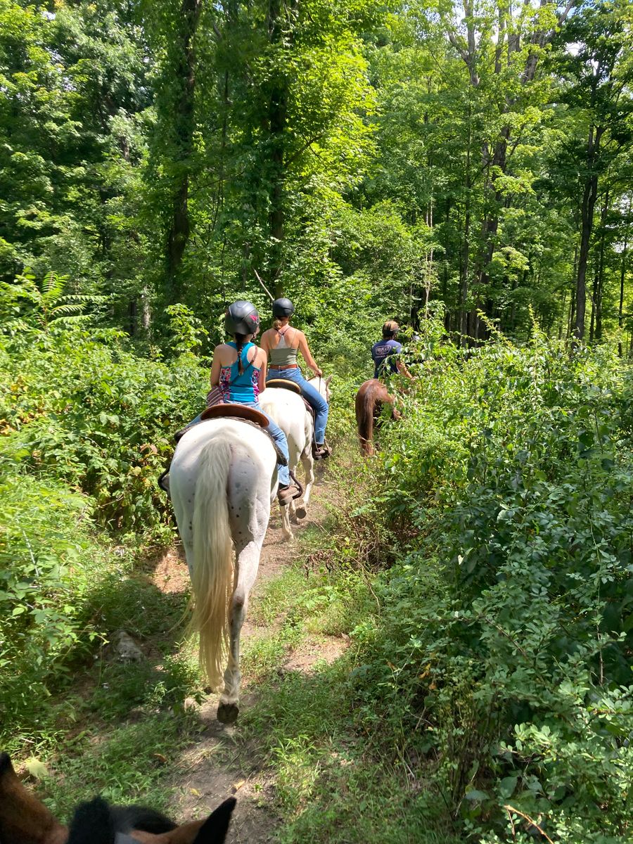 A Day on the Ranch for Blue Stone Farm in Wantage, NJ