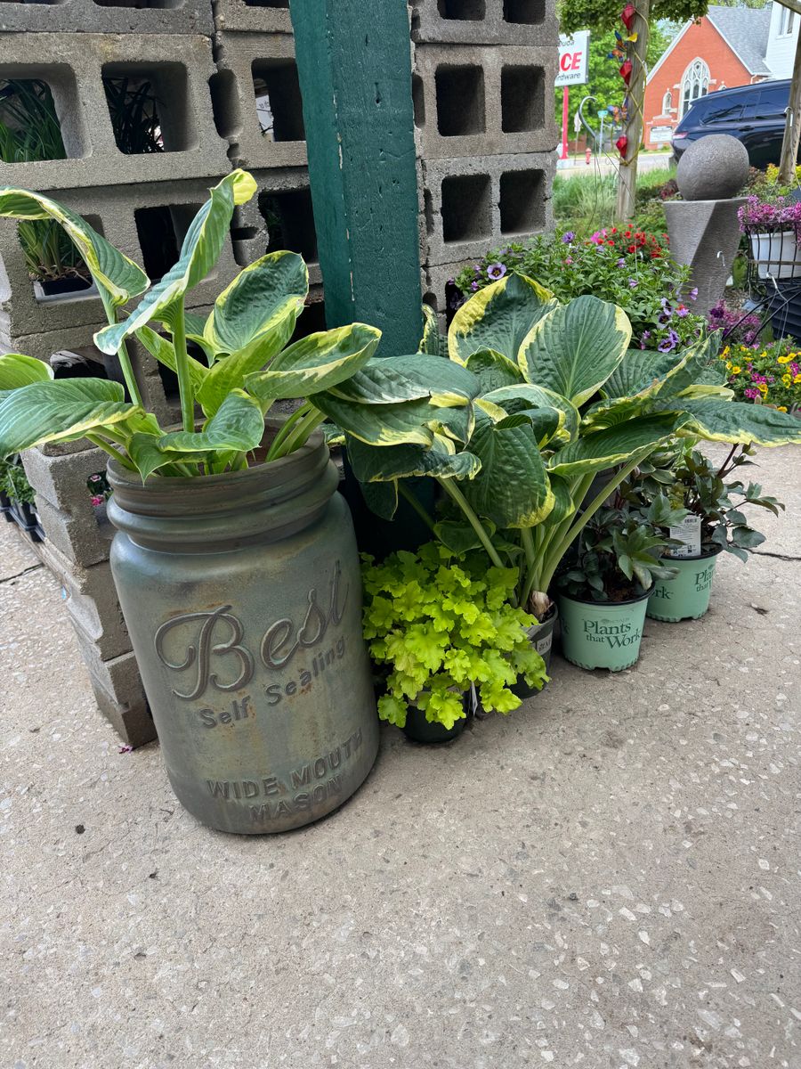 Gardening for Mayfield Landscaping in Staunton, IL