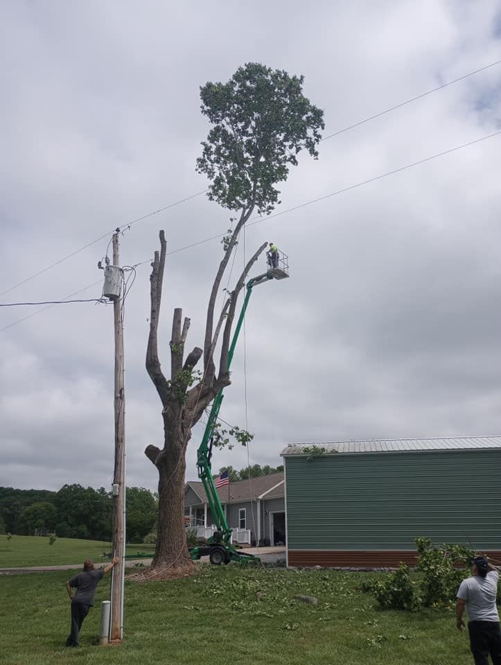 Tree Trimming for Backwoods Tree Experts in Hickory, NC