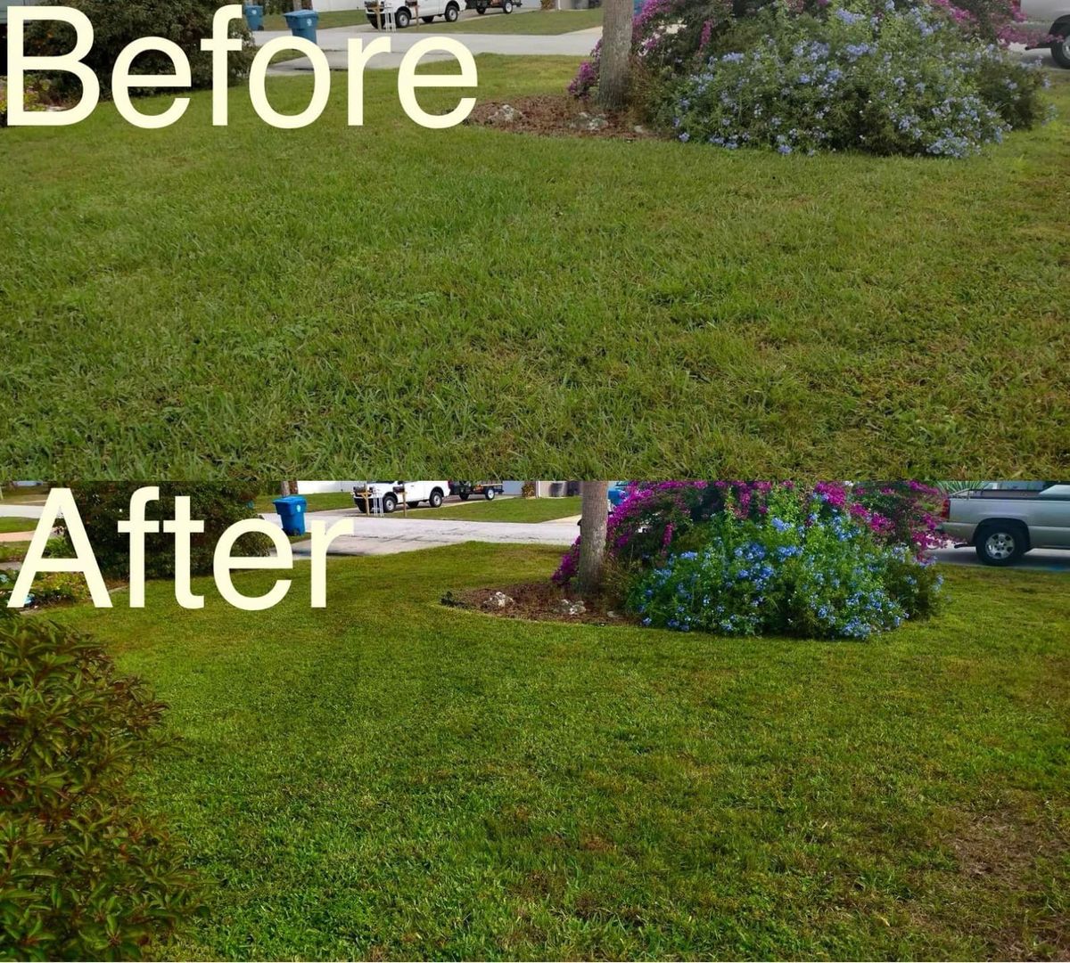 Shrub Trimming for Right Choice Lawn Care in Brooksville, FL