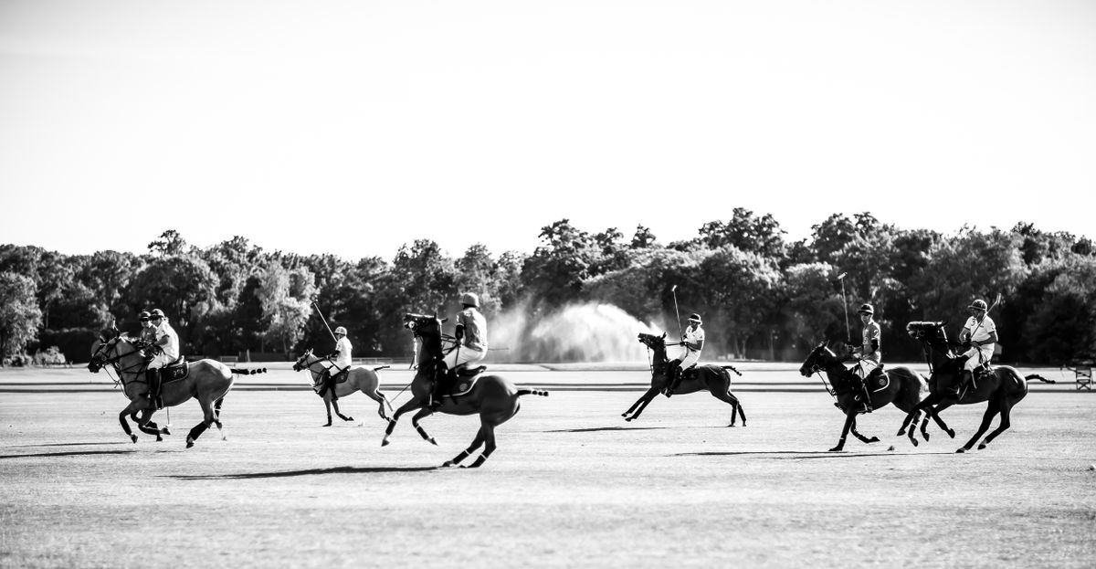 Polo for Donohue Studios in Midway , KY