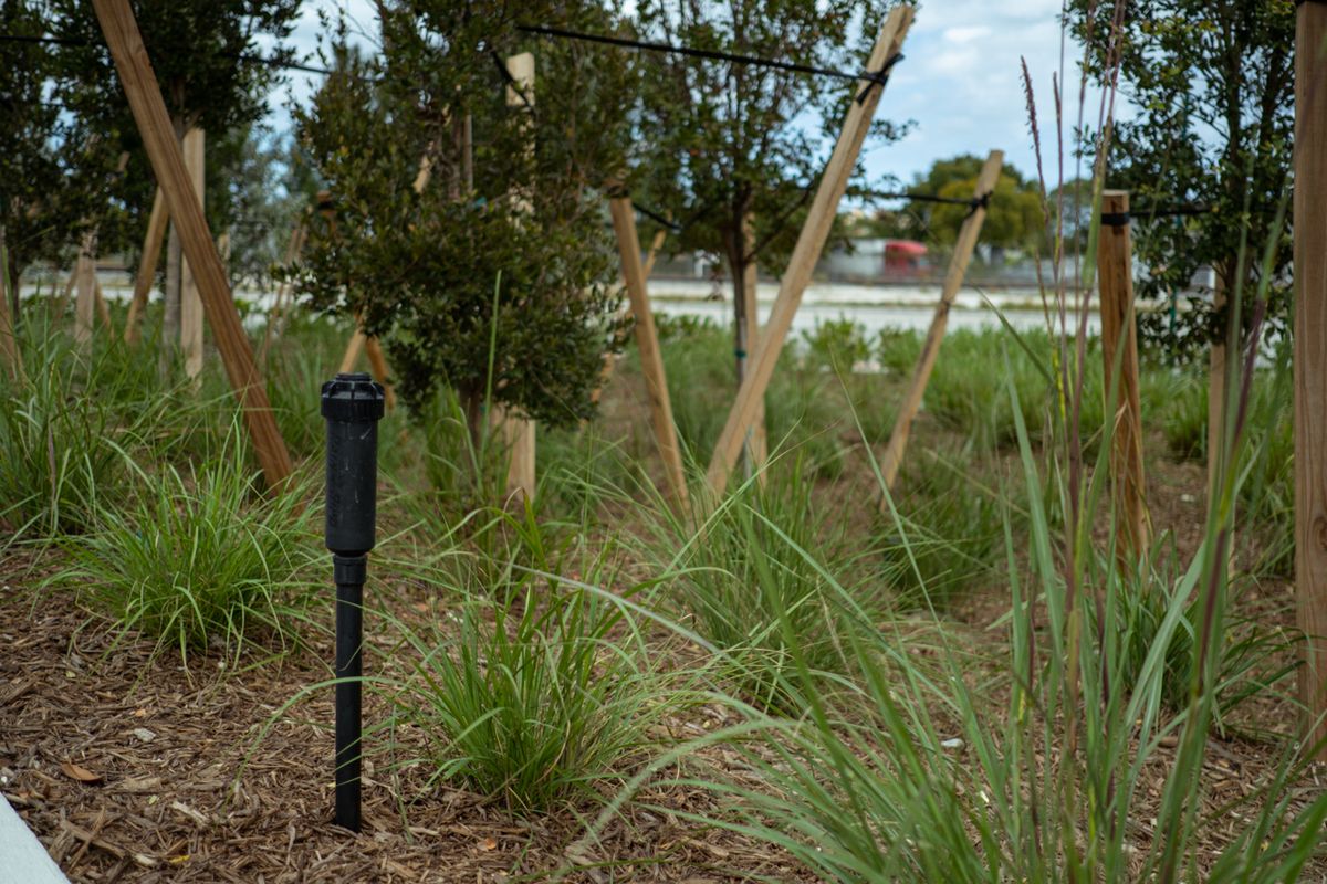 Irrigation for Arazoza Brothers Corporation in Miami, FL