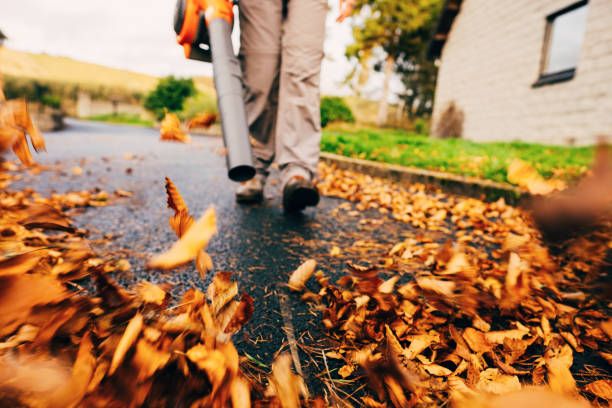 Leaf Removal for Greenscape Lawns in Montague, MI
