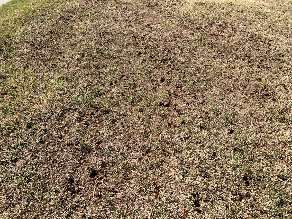 Aeration for Prime Lawn LLC in Conyers, GA