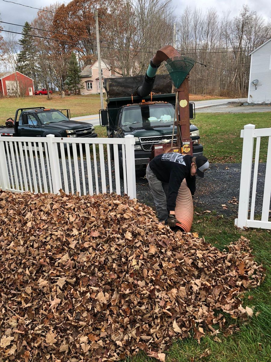 Seasonal Cleanups for Levi Allen Lawn Care in Rutland County, VT