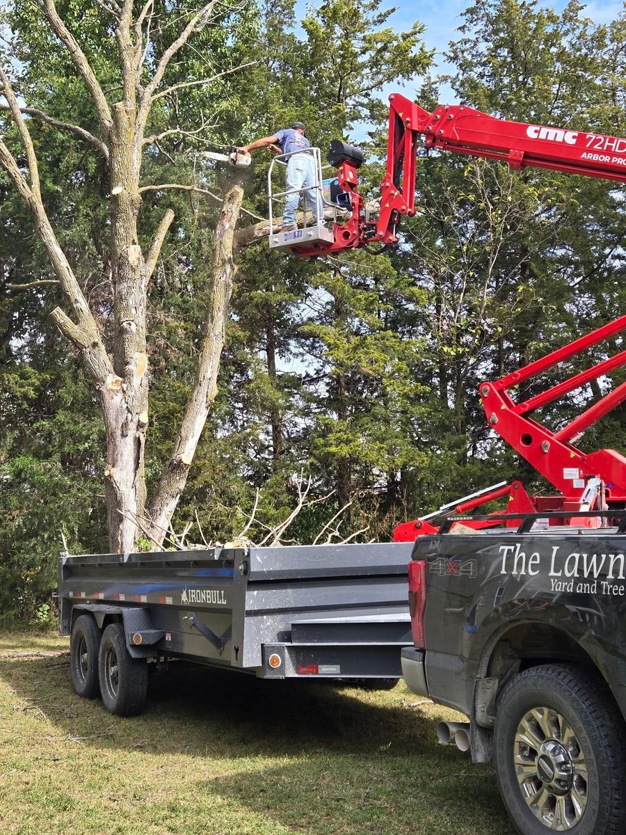 Tree Removal for Lawn Ranger Yard And Tree Service LLC in Ottumwa, IA