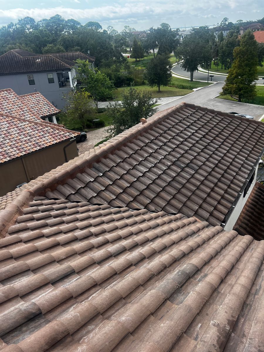 Roof Cleaning for Barr None Wash Pro in Tampa, FL