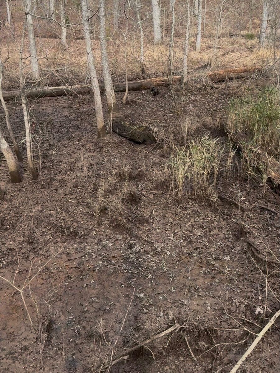 Stormwater Drainage Management for Fayette Property Solutions in Fayetteville, GA