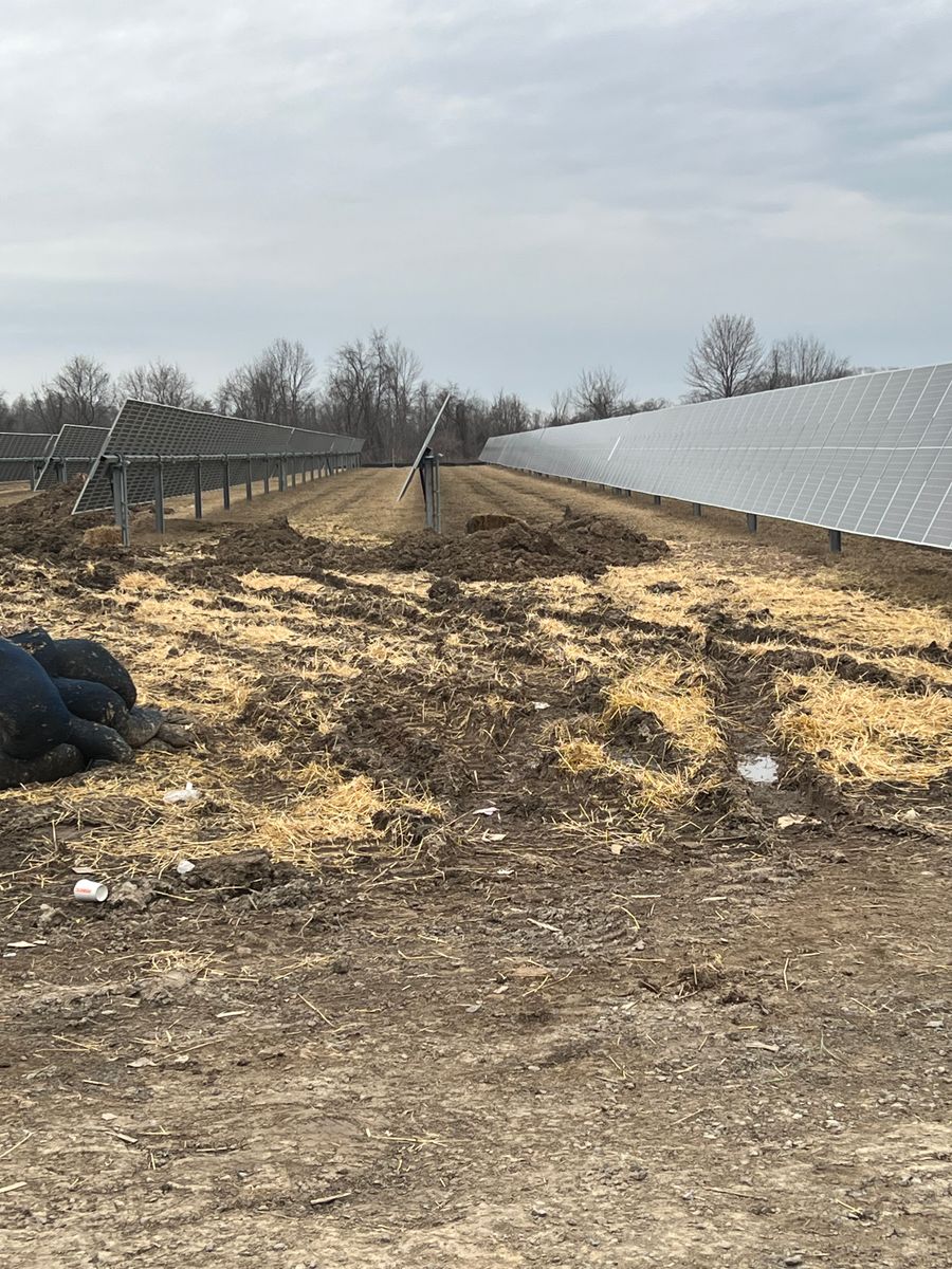 Erosion Control for Divine Construction Services in Brazoria County, TX