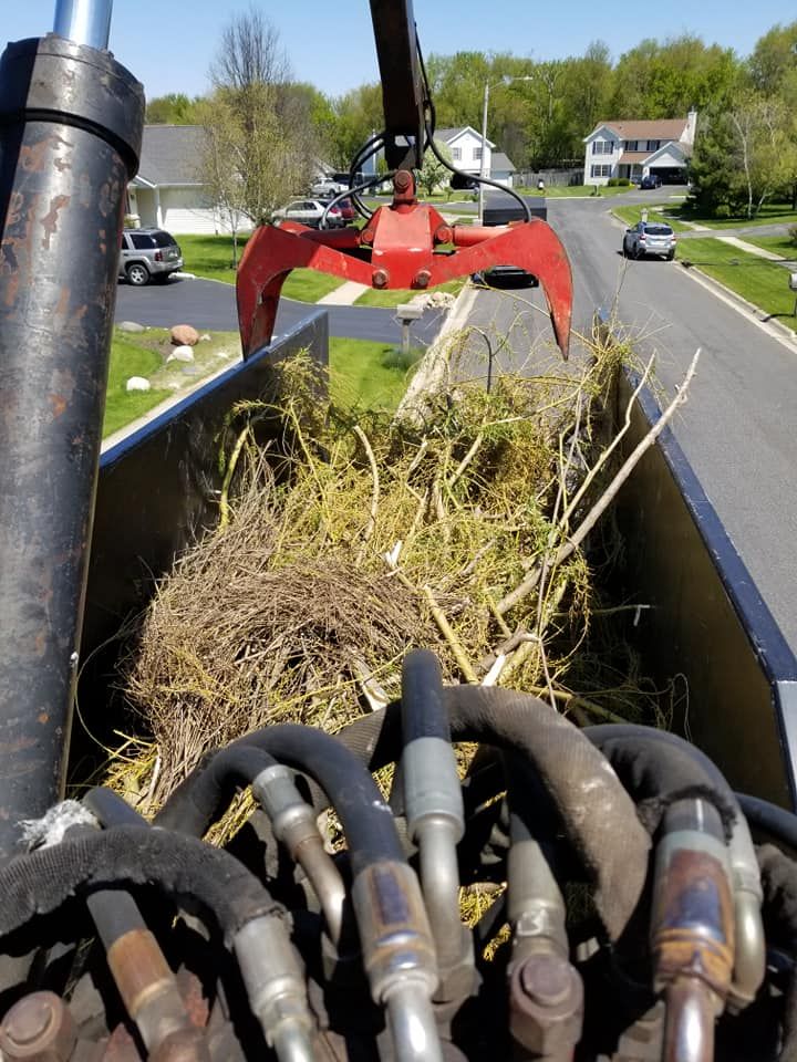 Tree Removal for Olson Tree Service, Inc in Winnebago County, IL