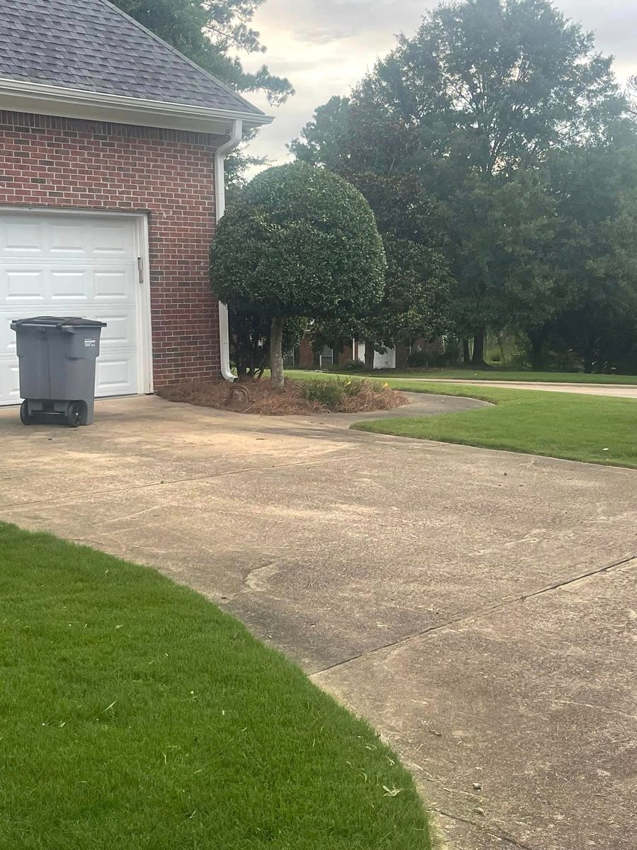 Driveway & Sidewalk Cleaning for Man's Asap Landscaping and Handyman Services LLC in Lagrange, GA