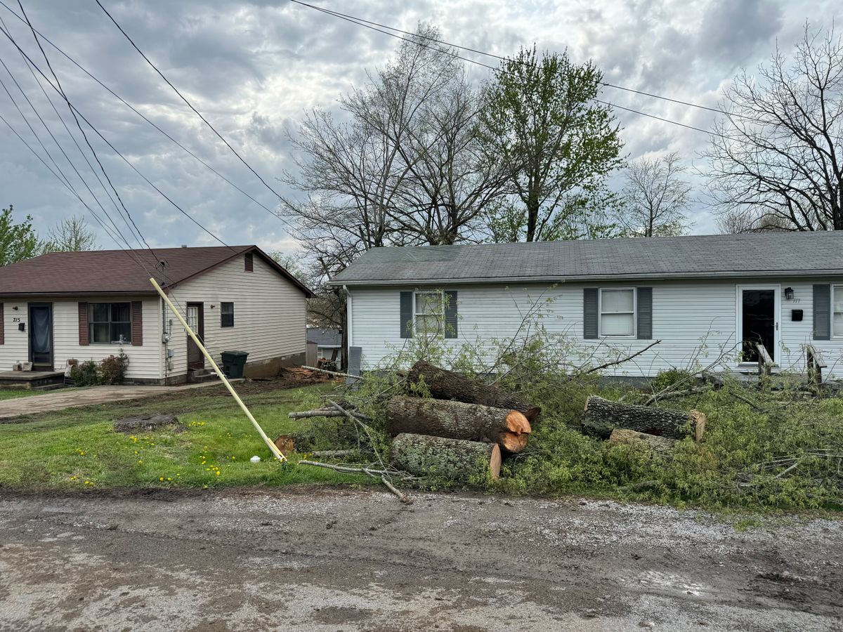Tree Removal for Curtis Tree Service LLC in Hopkins County, KY