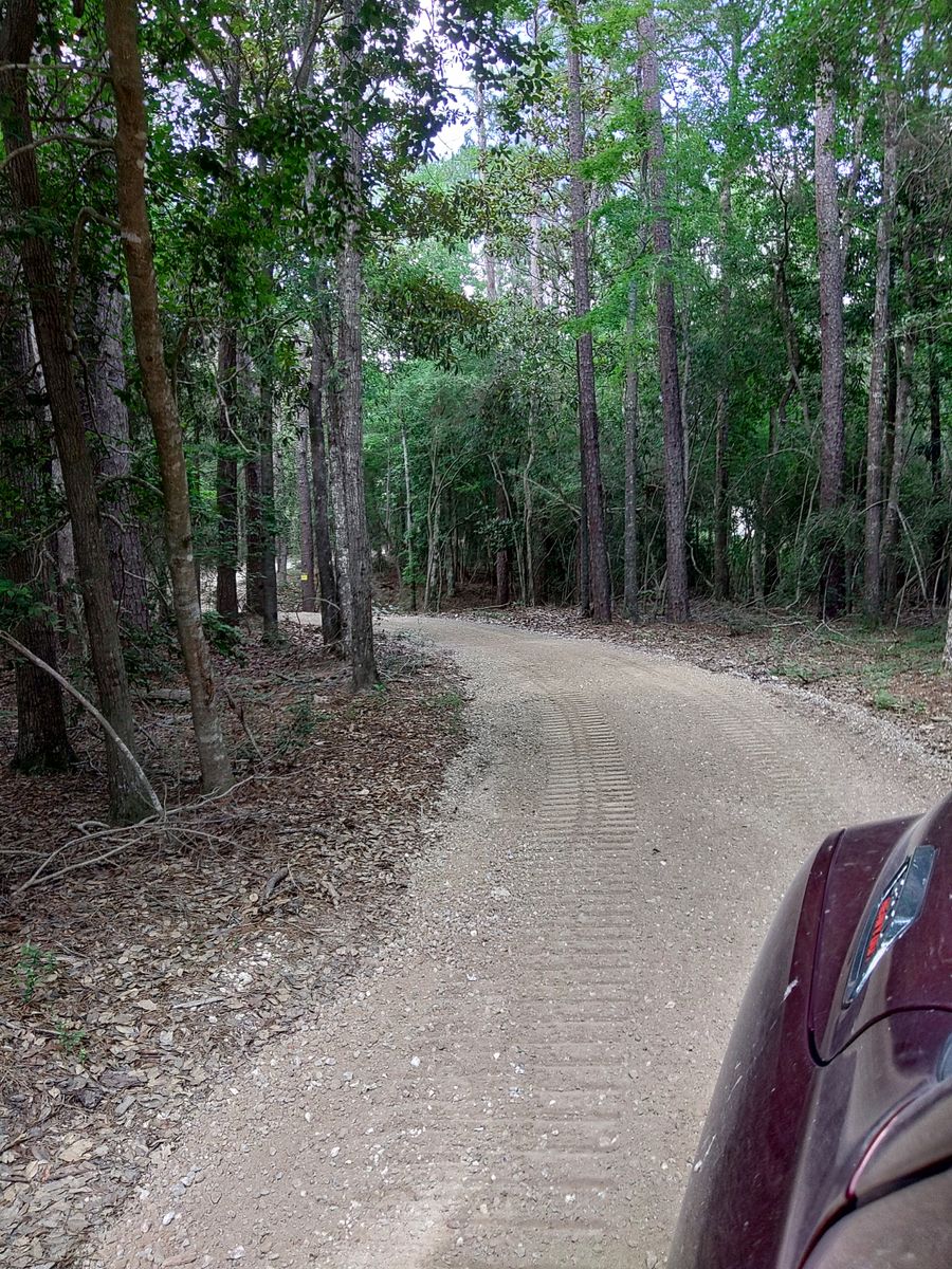 Grading for Big Thicket Land Clearing in Kountze, TX