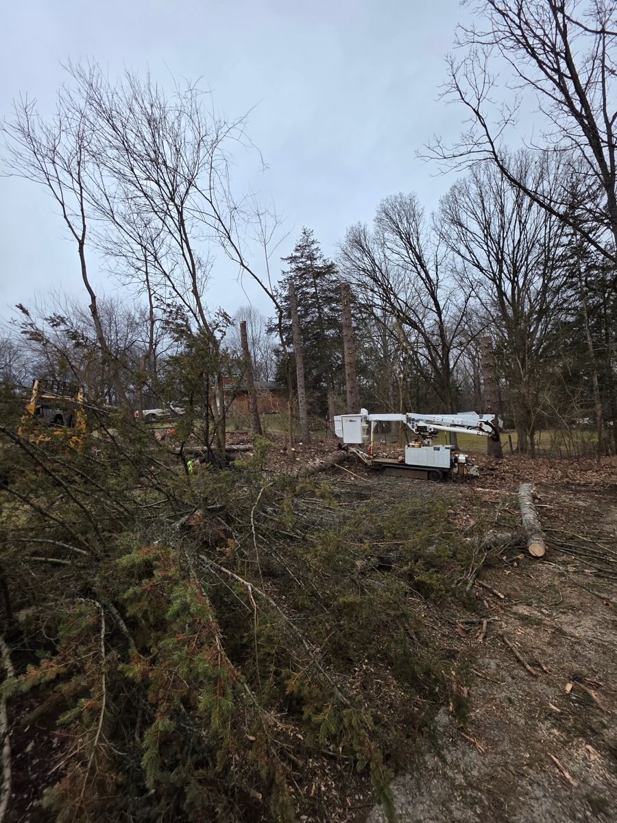 Hazard Work for D Hale Tree Service in Ann Arbor, MI
