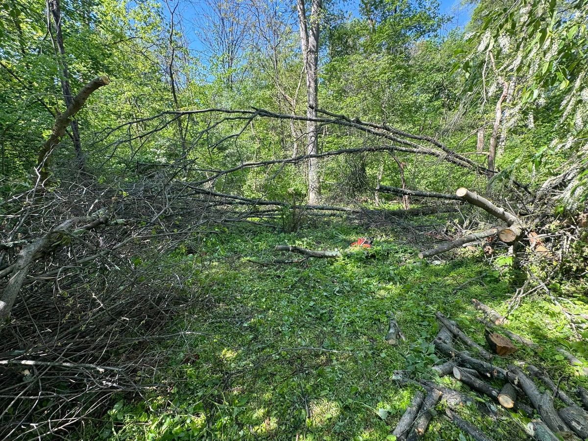 Lot Clearing for Beckenbaugh Tree and Lawn Service in Lewistown, PA