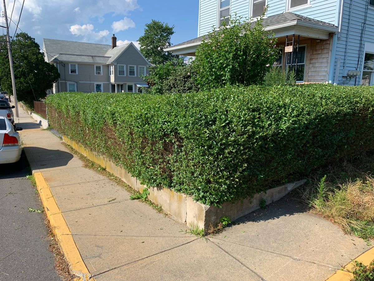 Hedge Trimming for Murray Mowing and More in Ashaway, RI