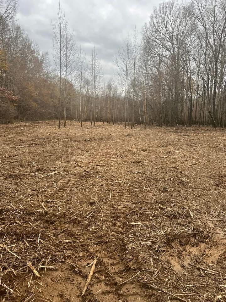 Forestry Mulching for Simmons land works in Sardis,, TN
