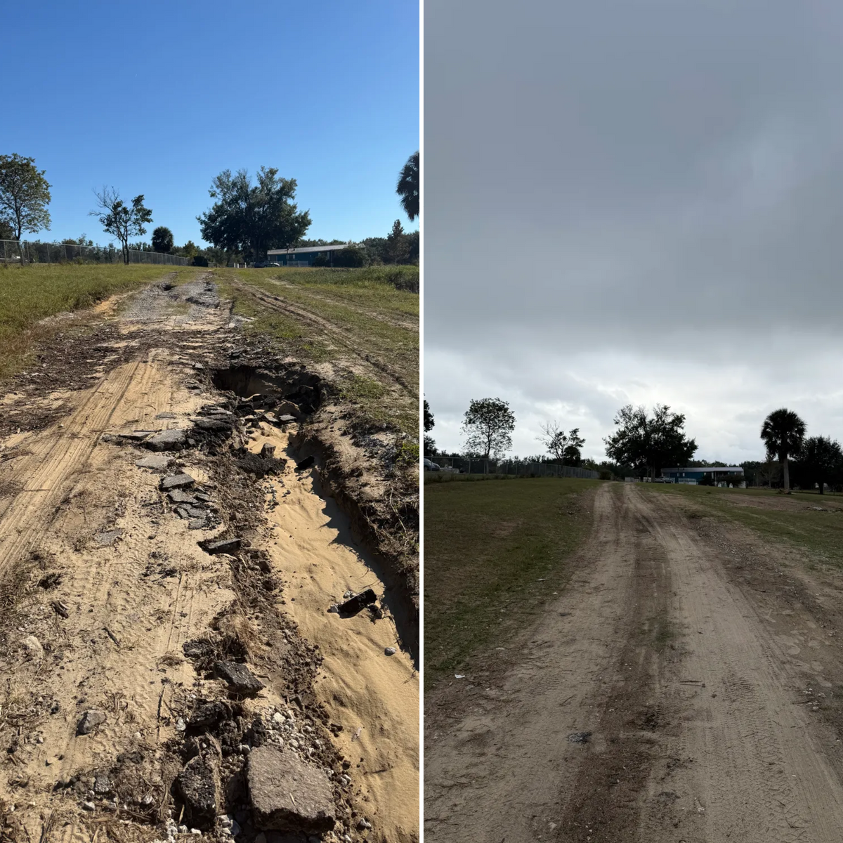Land Clearing for Amerigrown Tree And Lawn in Apopka, FL