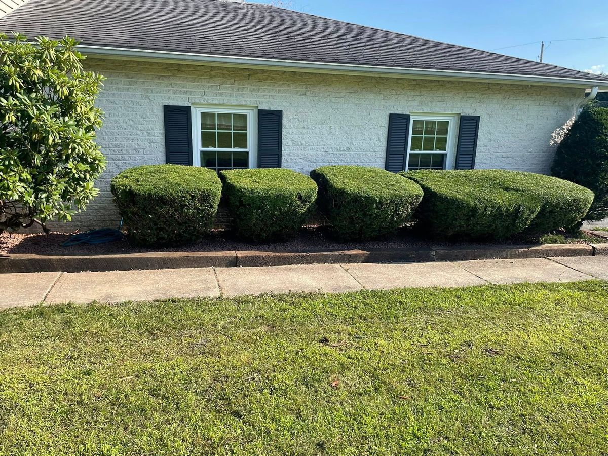 Shrub Trimming for Bryant Property Solutions in Altoona, PA