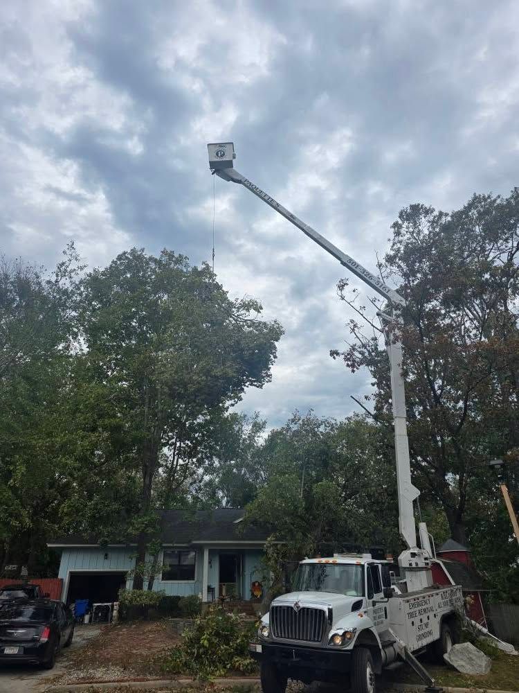 Tree Trimming for Paquette's Tree Service in Malvern, AR