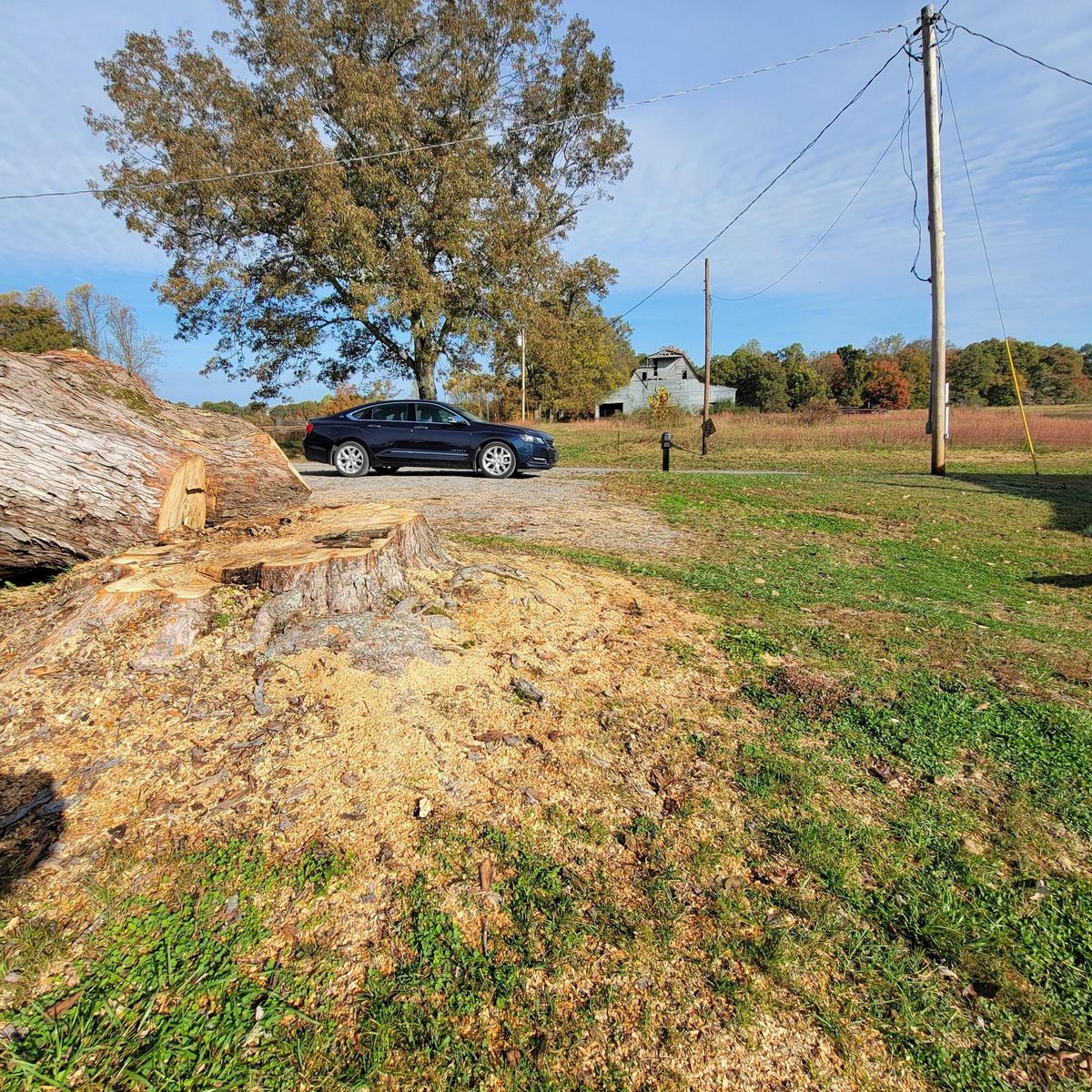 Land Clearing for Z's Land Management & Forestry Mulching in Smithville, TN
