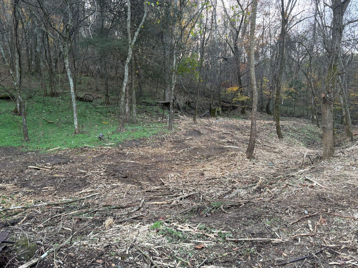 Land Clearing for Gregory Grass and Lawn in Lafayette, TN