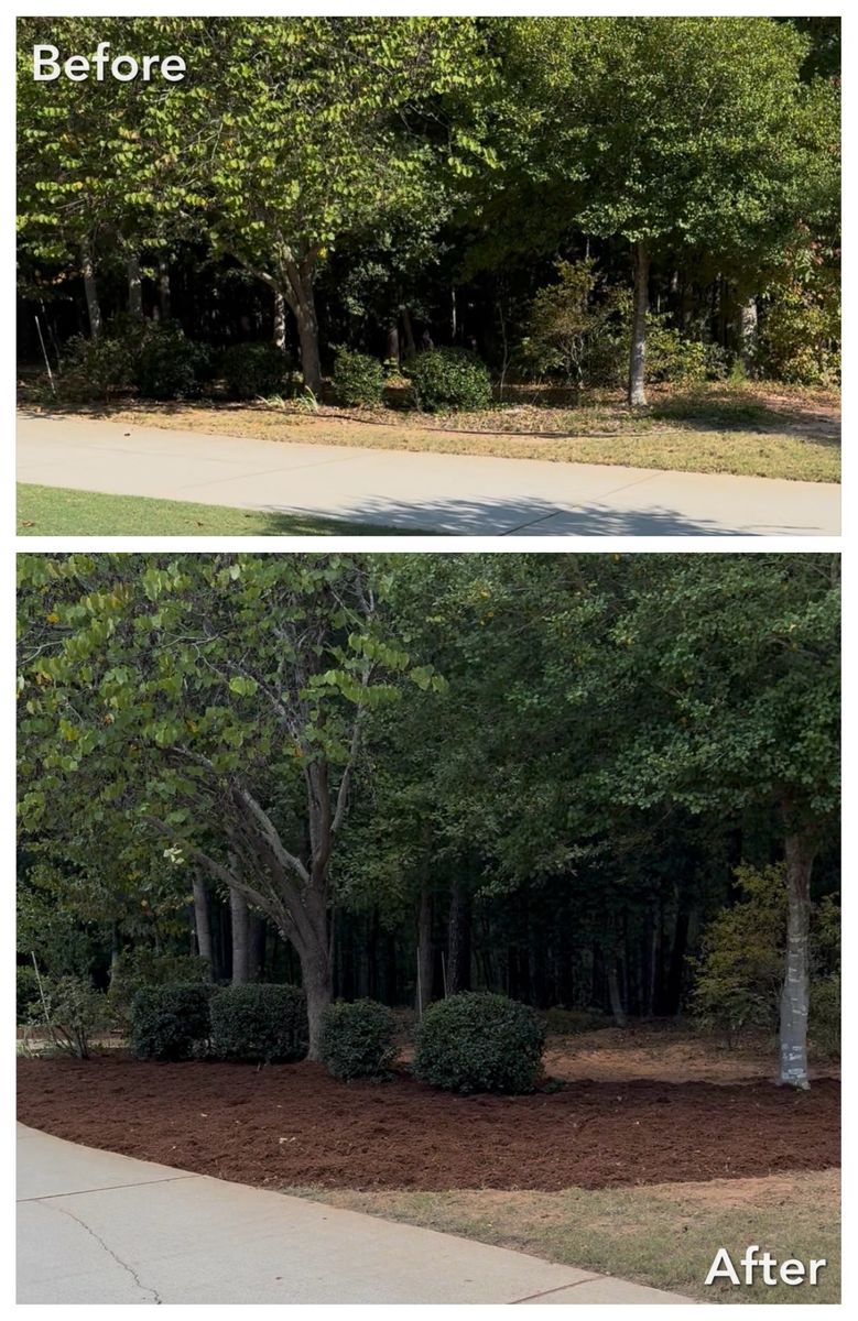 Brush Cutting and Removal for Fayette Property Solutions in Fayetteville, GA