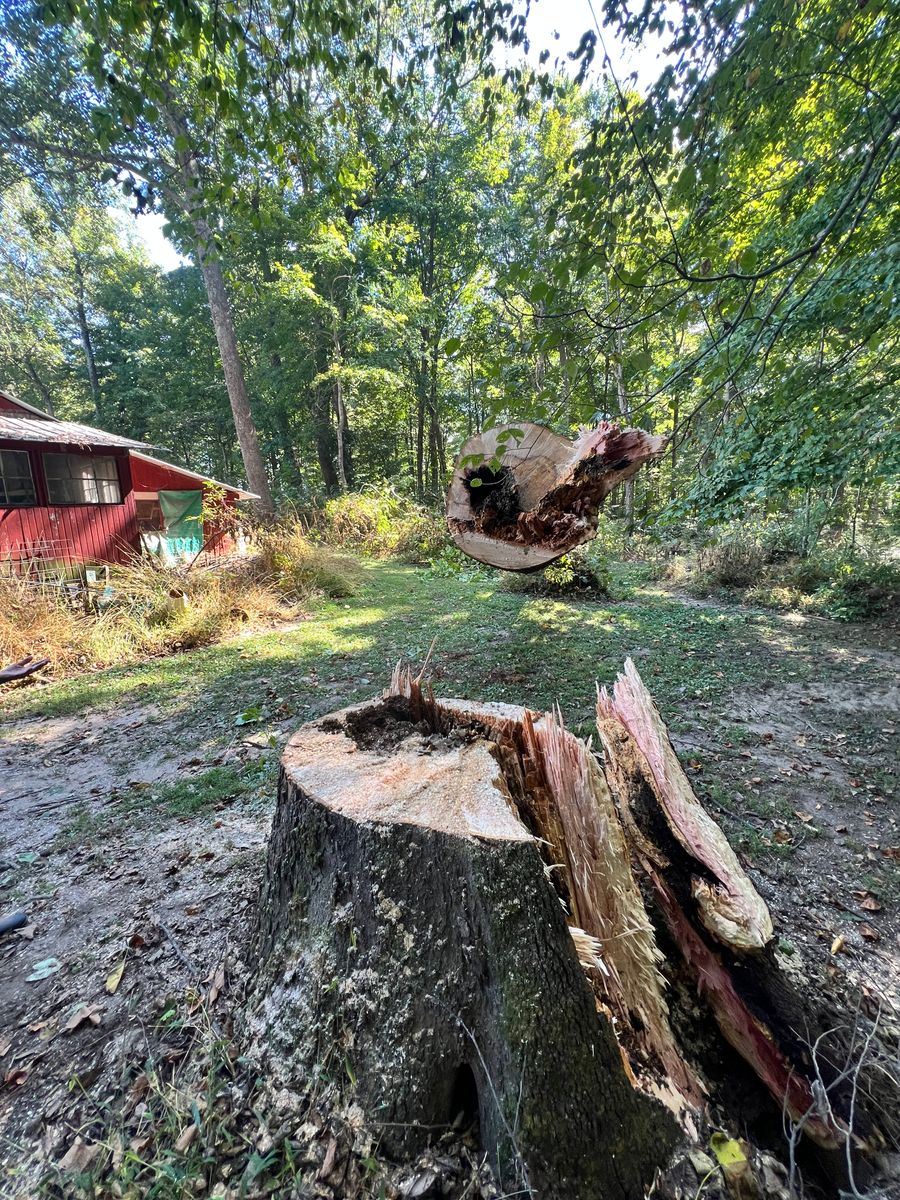 Tree Removal for Kadin’s Tree Service in North Vernon, IN