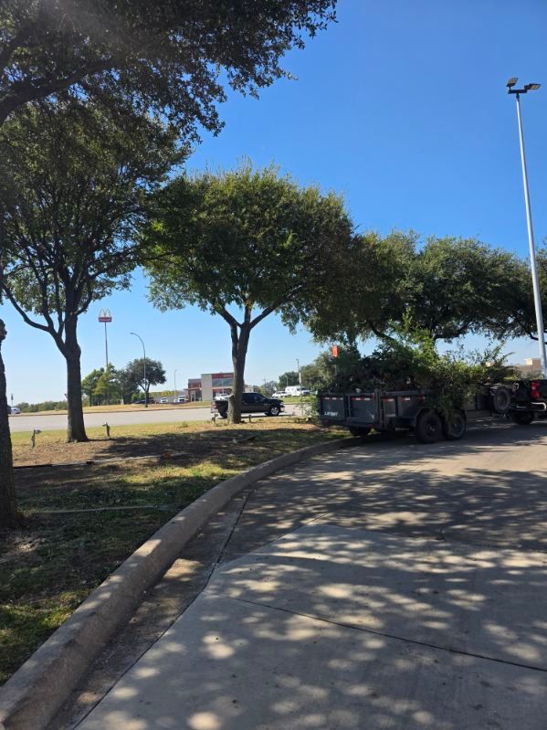 Tree Removal for RACSO RDZ LLC in McKinney, TX