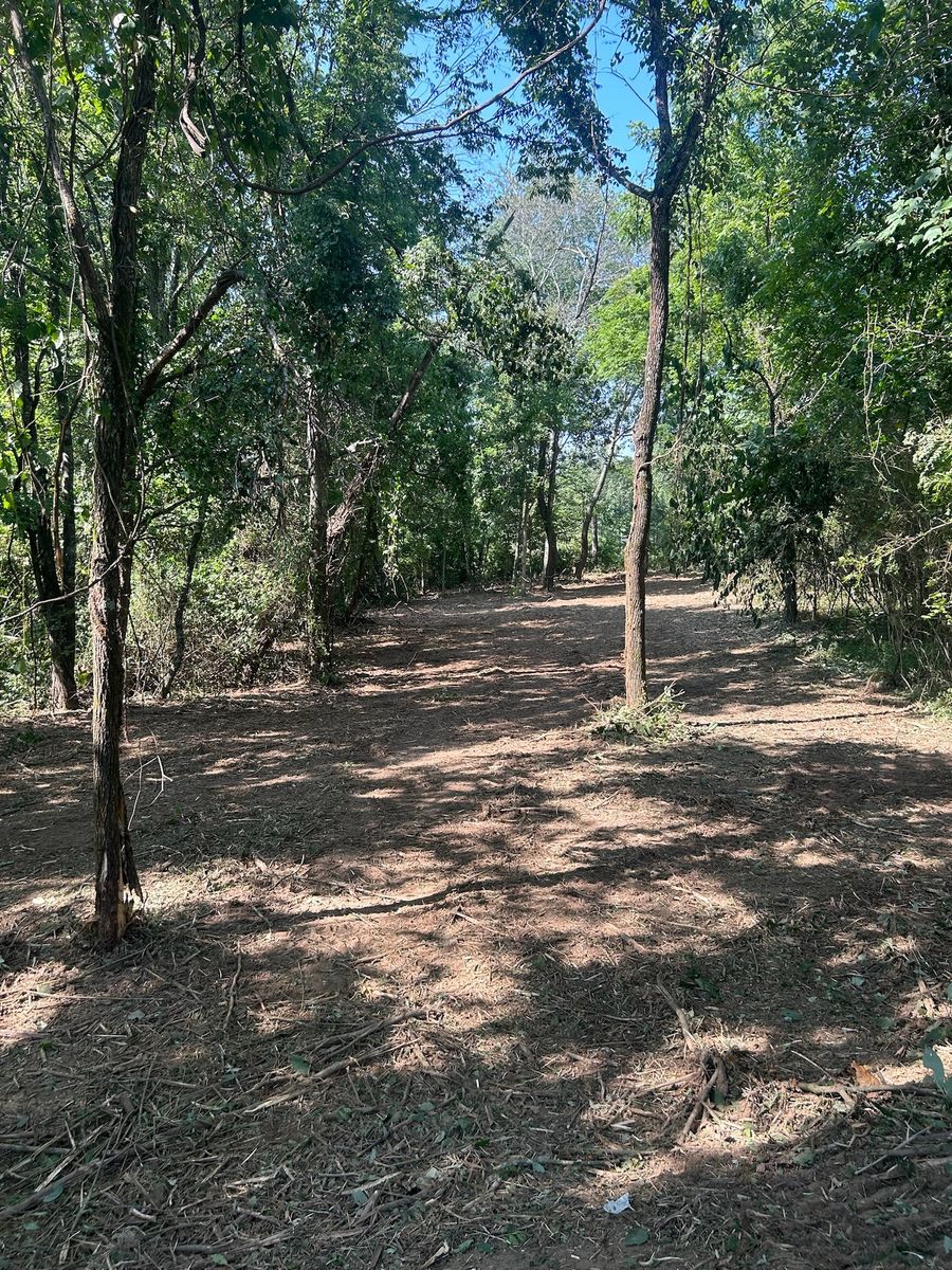 Forestry Mulching for McBryar Excavation in Trenton, GA