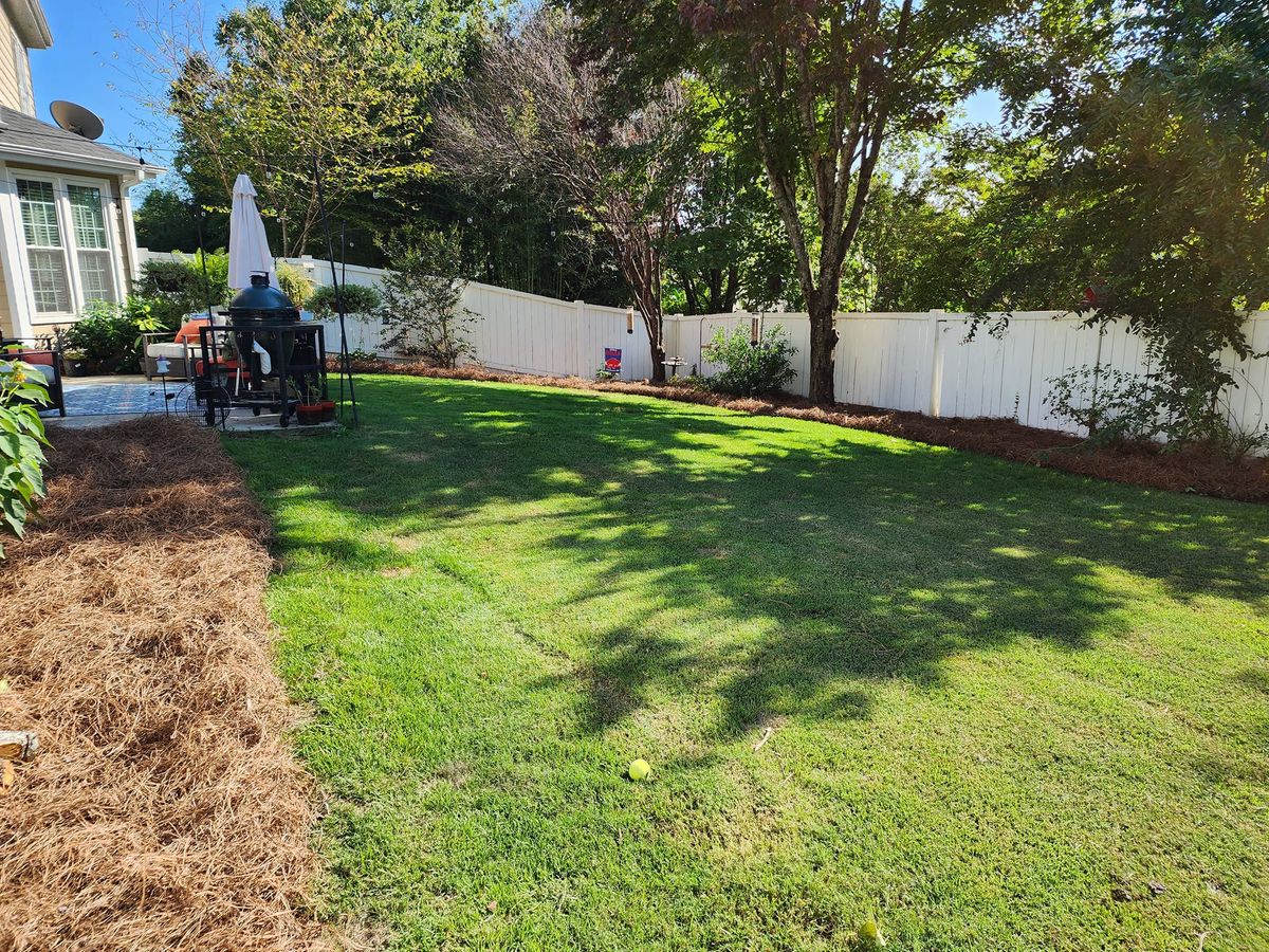 Sod Installation for CJC Landscaping, LLC in Athens, Georgia