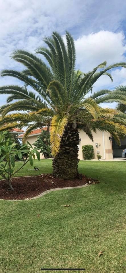 Landscaping for Rize N’ Grind  in Punta Gorda, FL