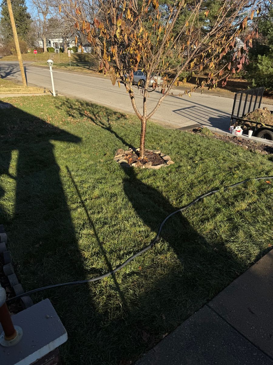 Sod and Seeding for Nicholson Lawn Care in Jeffersonville, IN