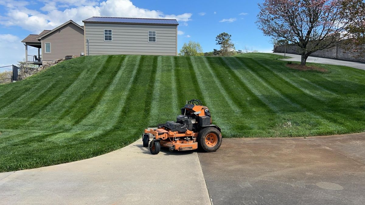 Seasonal Lawn Maintenance & Treatment for Cook's Lawn & Landscaping in Taylorsville, NC