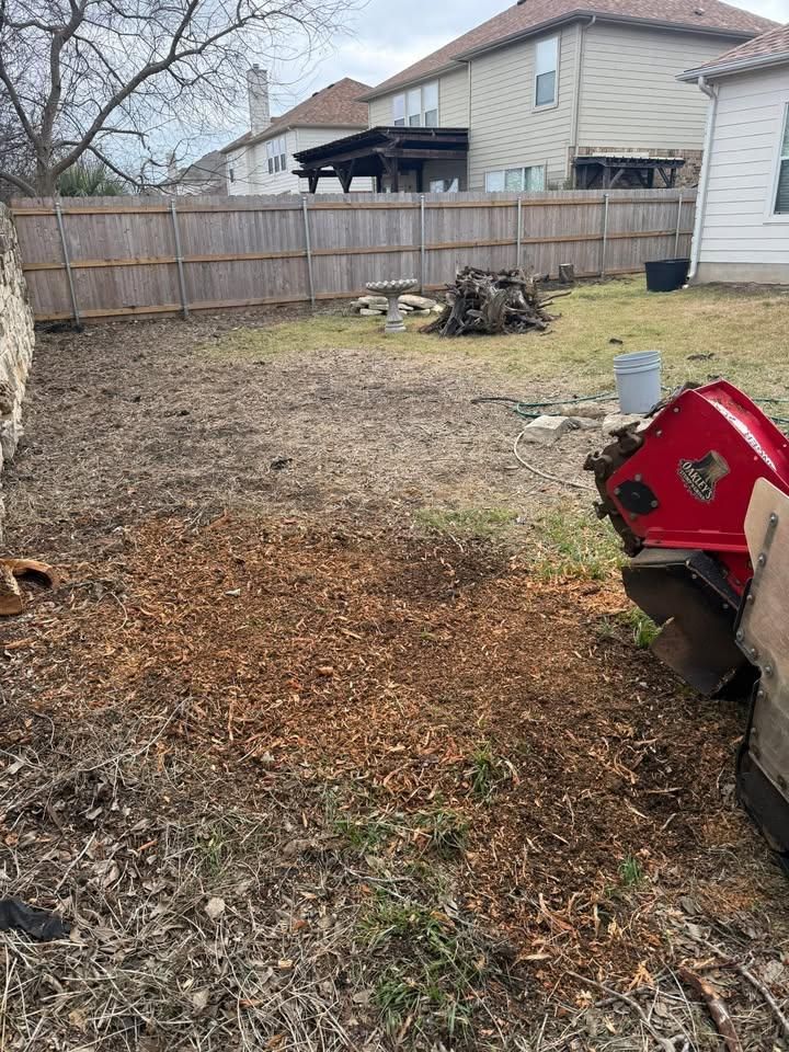 Tree Removal for Oakley’s Stump ‘N Grind in Leander, TX