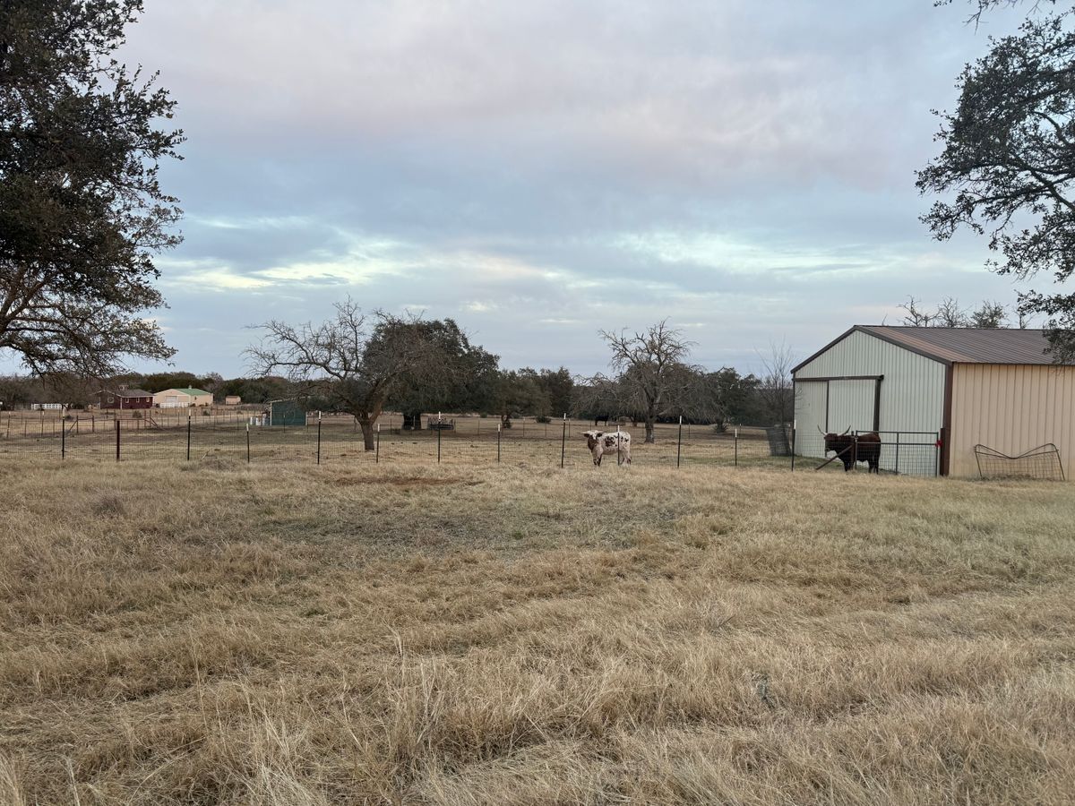 Tree Trimming for Oakley’s Stump ‘N Grind in Leander, TX