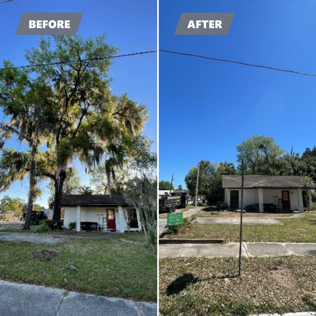 Tree Removal for Mr. Timber in Ocala, FL